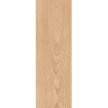 Saime Bark С000582729 8695000_2CM BARK BEG.GRIP RT 40x120 grès cérame 40x120 cm, Italie, arbre - photo 1 - photo 1
