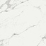 Saime Cave С000554965 T820245_PIETRASANTA LUC RET 120x120 grès cérame 120x120 cm, Italie, autres types de marbre - photo 1 Saime Cave С000554965 T820245_PIETRASANTA LUC RET 120x120 grès cérame 120x120 cm, Italie, autres types de marbre - photo 1