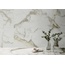 Saime Royal 30x60, glassert keramisk granitt, Italia, andre marmortyper - interiørfoto 1 Saime Royal 30x60, glassert keramisk granitt, Italia, andre marmortyper - interiørfoto 1