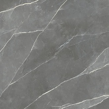 Saime Royal С000614661 8600306_RoyalGreySmoothRet60X60 Feinsteinzeug 60x60 cm, Italien, andere marmorsorten - Foto 1 - Foto 1