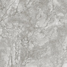 Saime Royal С000614670 8600344_RoyalSilverLucRet60X60 Feinsteinzeug 60x60 cm, Italien, andere marmorsorten - Foto 1 - Foto 1