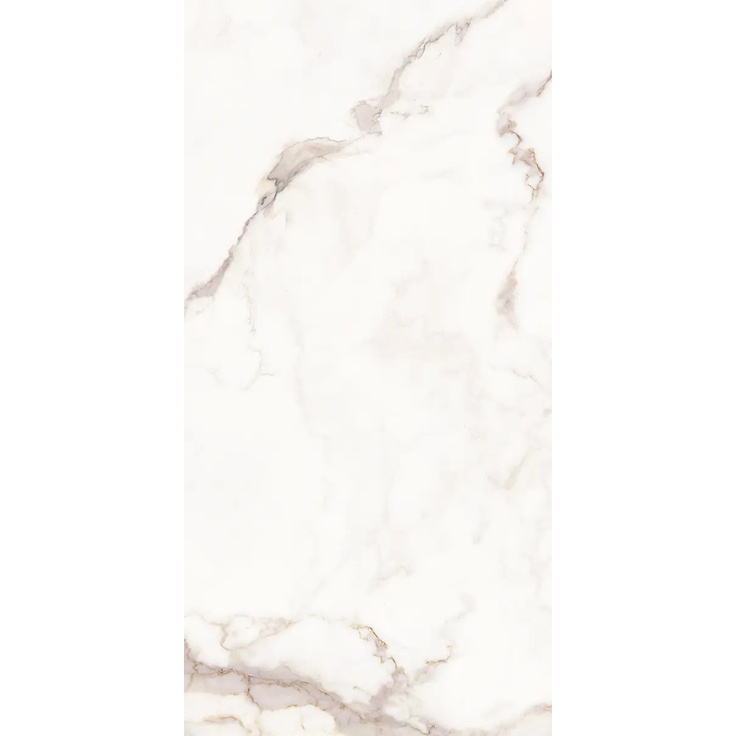 Saime Royal С000614800 T600233_RoyalWhiteLucRet60X120 gres porcelánový 60x120 cm, Itálie, ostatní druhy mramoru - fotografie 1 Saime Royal С000614800 T600233_RoyalWhiteLucRet60X120 gres porcelánový 60x120 cm, Itálie, ostatní druhy mramoru - fotografie 1
