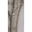 Sant'Agostino Akoya С000464581 CSAAKOCL12_AkoyaOcean60120Kry porcelain tile 60x120 cm, Italy, onyx - photo 1 Sant'Agostino Akoya С000464581 CSAAKOCL12_AkoyaOcean60120Kry porcelain tile 60x120 cm, Italy, onyx - photo 1