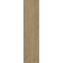 Sant'Agostino Sunwood С000573968 CSASNC3012_SunwoodCaramel30*120 gres porcelanowy 30x120 cm, Włochy, drzewo - zdjęcie 1 - zdjęcie 1