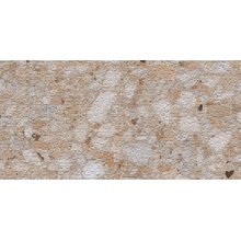 Sant Agostino Venistone CSAVRIGO60 Rigato Gold Ret gres porcelánový 60x120 cm, Itálie, terrazzo - fotografie 1 - foto 1