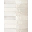 Sartoria Tbrick С000508190 SATB1116G_seashell_glossy piastrella da parete 5,2x16 cm, Italia - foto 1 Sartoria Tbrick С000508190 SATB1116G_seashell_glossy piastrella da parete 5,2x16 cm, Italia - foto 1