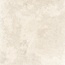 Savoia Italia Ceramica Levante SLEP41 Avorio porcelain tile 120x120 cm, Italy, limestone - photo 1 Savoia Italia Ceramica Levante SLEP41 Avorio porcelain tile 120x120 cm, Italy, limestone - photo 1