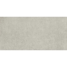 Serenissima Evoca С000471577 1064921_EvocaCenereRet50X100 keramisk granitt 50x100 cm, Italia, andre typer av stein - foto 1 - foto 1