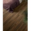 Serenissima I Lecci 10x40, grès cérame émaillé, Italie, arbre - photo d'intérieur 14