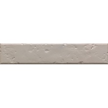 Settecento Antique 147003 Bisque porcelain tile 4,5x23 cm, Italy, brick  - photo 1 - photo 1