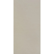 Settecento Riga С000603427 118103_RigaSmoothDove45*90 gres porcelanato 45x90 cm, Itália - foto 1 - foto 1