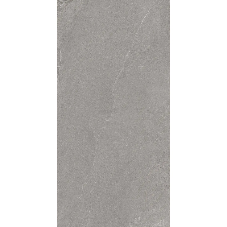 Sichenia Ardennes 199914 Matt Grey porcelanato 60x120 cm, Italia, pizarra (andesita) - foto 1 Sichenia Ardennes 199914 Matt Grey porcelanato 60x120 cm, Italia, pizarra (andesita) - foto 1