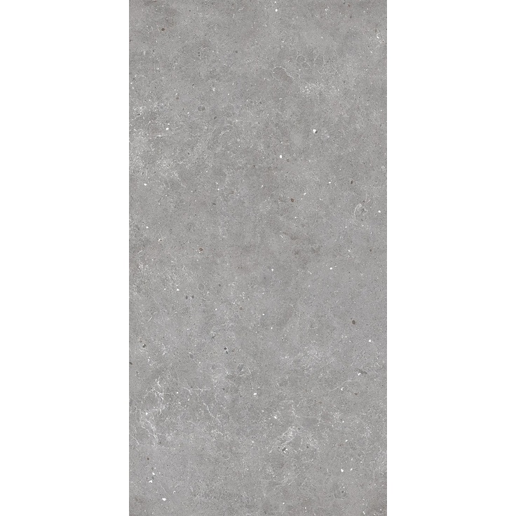 Sichenia Ar_Gent С000537298 184441_AshRett grès cérame 60x120 cm, Italie, calcaire - photo 1 Sichenia Ar_Gent С000537298 184441_AshRett grès cérame 60x120 cm, Italie, calcaire - photo 1