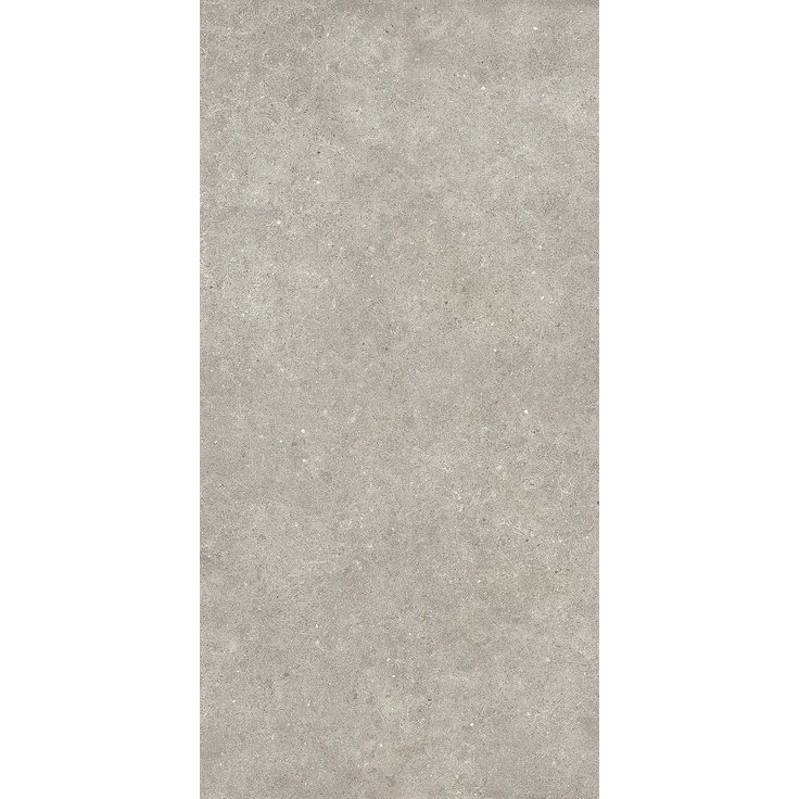 Sichenia Ar_Gent С000537300 184443_GreigeRett grès cérame 60x120 cm, Italie, calcaire - photo 1 Sichenia Ar_Gent С000537300 184443_GreigeRett grès cérame 60x120 cm, Italie, calcaire - photo 1