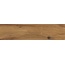 Sichenia P_arkett С000588807 196034_P_arkettGrazGripR10Rect30x120 porcelain tile 30x120 cm, Italy, wood look - photo 1 Sichenia P_arkett С000588807 196034_P_arkettGrazGripR10Rect30x120 porcelain tile 30x120 cm, Italy, wood look - photo 1