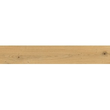 Sichenia P_arkett С000588813 196052_P_arkettThunGripR10Rect20X120 gres porcelanato 20x120 cm, Itália, árvore - foto 1 - foto 1