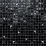 Sicis Coriandoli С000555412 Cor 301 Black/Aluminium-Platinum Mosaic 29,5x29,5 cm, Italy - photo 1