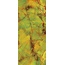 Sicis Onigem С000594692 Onigem Green C Solid 6 mm 120*280 Floor tile 120x280 cm, Italy, onyx - photo 1