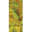 Sicis Onigem С000594685 Onigem Green A Satin 6 mm 120*280 Floor tile 120x280 cm, Italy, onyx - photo 1