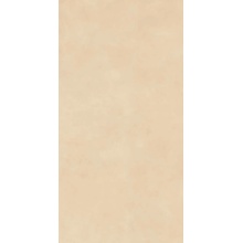 Sil Ceramiche 4 YOU С000619970 69246001200YOUALM2_4-YouAlmondRett.60X120 keramisch graniet 60x120 cm, Italië, hars - foto 1 - foto 1