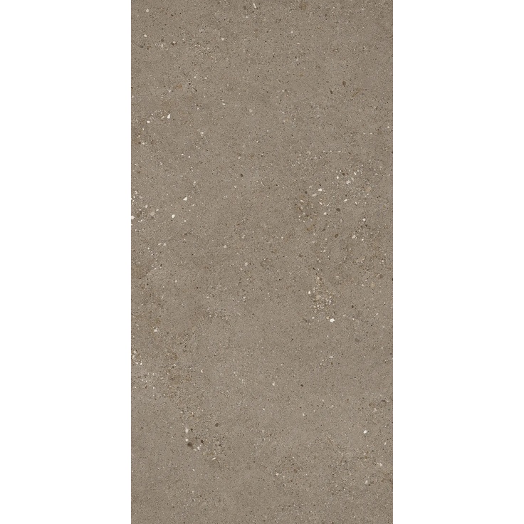Sintesi Frammenti С000513958 PF00017661_Frammenti60119TerraRet porcelænsflise 60x119,8 cm, Italien, andre stenarter - foto 1 Sintesi Frammenti С000513958 PF00017661_Frammenti60119TerraRet porcelænsflise 60x119,8 cm, Italien, andre stenarter - foto 1