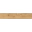 Steuler Dalby С000623155 Y74060001_DalbyHoney grès cérame 20x120 cm, Allemagne, arbre - photo 1