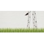 Steuler Louis & Ella 2.0 С000518043 Y30537001_Louis&EllaGiraffeLegsGrass30X60 Dekor 30x60 cm, Německo - fotografie 1