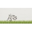 Steuler Louis & Ella 2.0 С000518041 Y30535001_Louis&EllaGrassBorderZebra30X60 Decorazione 30x60 cm, Germania - foto 1 Steuler Louis & Ella 2.0 С000518041 Y30535001_Louis&EllaGrassBorderZebra30X60 Decorazione 30x60 cm, Germania - foto 1