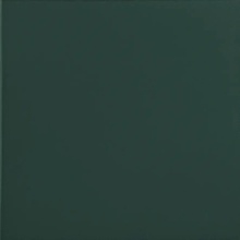 Terratinta Hexa С000631840 TTHXS07N_GreenEchoSquare15X15 keramisk granitt 15x15 cm, Italia, monokrom - foto 1 - foto 1