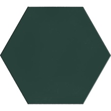Terratinta Hexa С000631812 TTHXF07N_GreenEchoHexagon14X16 keramisk granitt 14x16 cm, Italia, monokrom - foto 1 - foto 1