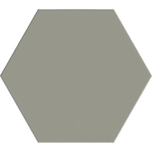 Terratinta Hexa С000631820 TTHXF11N_WildSageHexagon14X16 keramisk granitt 14x16 cm, Italia, monokrom - foto 1 - foto 1