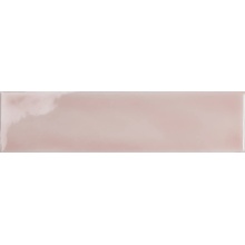 Tonalite Fluid С000524484 FLU25RO_FluidRosa väggplatta 6,2x25 cm, Italien, monokrom - foto 1 - foto 1