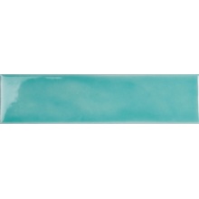 Tonalite Fluid С000524486 FLU25TU_FluidTulipano väggplatta 6,2x25 cm, Italien, monokrom - foto 1 - foto 1