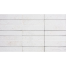 Tonalite Foliage С000566515 FOL25BI_Bianco gres porcelanato 6x24,6 cm, Itália - foto 1 - foto 1