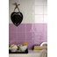 Tonalite Kraklé 7,5x15, ceramica, Itália, craquelê - foto de interior 13