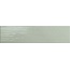 Tonalite Paintboard С000413743 PAI40SA_Salvia wall tile 10x40 cm, Italy, monochrome - photo 1