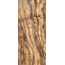 Tonino Lamborghini Galaxia 285003 Eclipse Slab A Lap Ret grès cérame 120x280 cm, Italie, autres types de marbre - photo 1