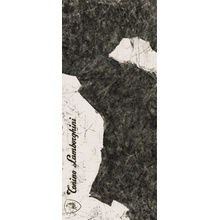 Tonino Lamborghini Magma 189118 F Logo B Black & White Lap Ret grès cérame 120x280 cm, Italie, aspect granite - photo 1 - photo 1