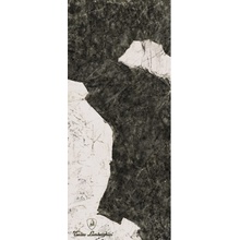 Tonino Lamborghini Magma 189119 F Logo C Black & White Lap Ret grès cérame 120x280 cm, Italie, aspect granite - photo 1 - photo 1