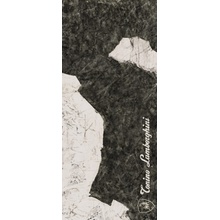 Tonino Lamborghini Magma 189120 F Logo D Black & White Lap Ret grès cérame 120x280 cm, Italie, aspect granite - photo 1 - photo 1