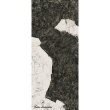 Tonino Lamborghini Magma 189119 F Logo C Black & White Lap Ret grès cérame 120x278 cm, Italie, autres types de pierre - photo 1 - photo 1
