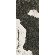 Tonino Lamborghini Magma 189118 F Logo B Black & White Lap Ret grès cérame 120x278 cm, Italie, autres types de pierre - photo 1 - photo 1