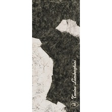 Tonino Lamborghini Magma 189120 F Logo D Black & White Lap Ret grès cérame 120x278 cm, Italie, autres types de pierre - photo 1 - photo 1