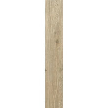 Tuscania Decapé J2N2 DecapéMiele R20.2*122.2 gres porcelánový 20,2x122,2 cm - fotografie 1 - foto 1