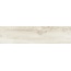 Tuscania North Wind M9S6 Ivory R 26*160 porcelain tile 26x160 cm - photo 1 Tuscania North Wind M9S6 Ivory R 26*160 porcelain tile 26x160 cm - photo 1