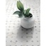 Vallelunga Cava 7,5x30, glazed porcelain stoneware, Italy, other types of marble - interior photo 9