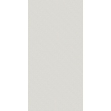 Versace Icons С000572140 G28311_ICONS LOGO WHITE RET 60X120 keramisch graniet 60x120 cm, Italië - foto 1 - foto 1