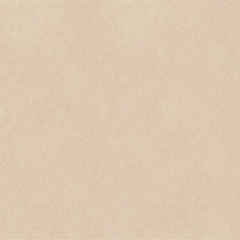 Versace Leatherwood 0017106 Cuir Beige nat 3D rett keramisch graniet 120x120 cm, Italië, leer  - foto 1 - foto 1