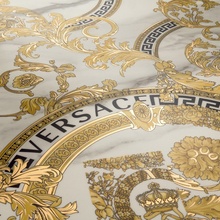 Versace Maximvs 60x60, geglazuurd keramisch graniet, Italië, andere soorten marmer - interieurfoto 1 - foto 1