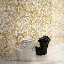 Versace Maximvs 60x60, geglazuurd keramisch graniet, Italië, andere soorten marmer - interieurfoto 1 - foto 2